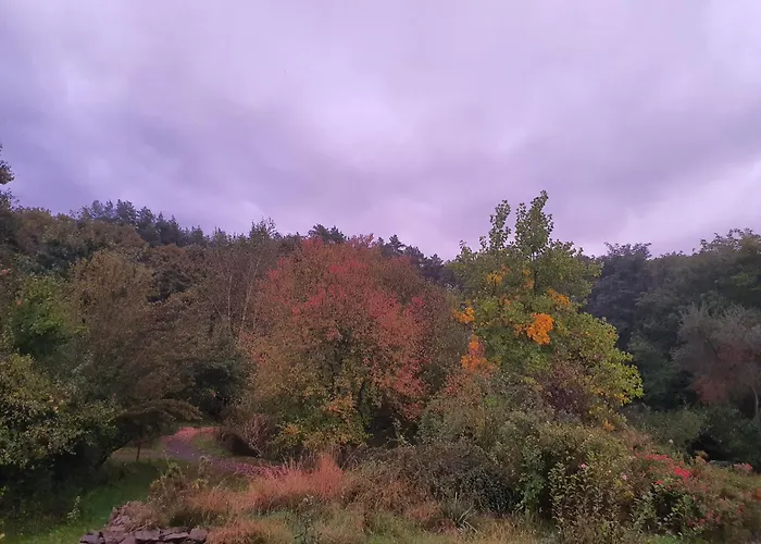 Ezererdő 4*