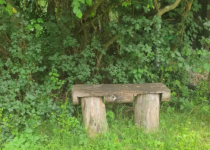 Ezererdő 4* Egerbakta